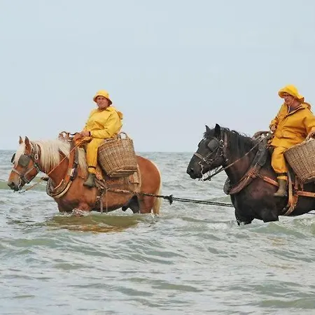 Malouki - 4 Star With Magnificent Sea View *